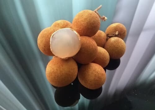龍眼：5